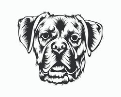 ilustración de vector de perro boxer, vector de perro boxer sobre fondo blanco