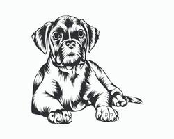 ilustración de vector de perro boxer, vector de perro boxer sobre fondo blanco