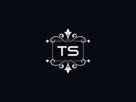 Professional Ts Logo, Minimalist TS Luxury Logo Letter Design vector