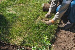 Close-up man laying grass turf rolls for new garden lawn photo