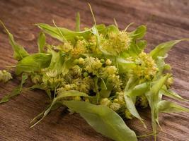 Bunch of linden flowers and leaves on wooden table for linden herbal tea - herbal therapy and natural medical treatment photo