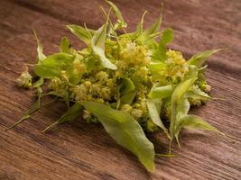 ramo de flores y hojas de tilo sobre una mesa de madera para té de hierbas de tilo - terapia de hierbas y tratamiento médico natural foto