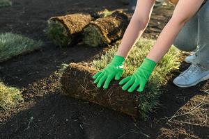 Close up woman laying sod for new garden lawn - turf laying concept photo