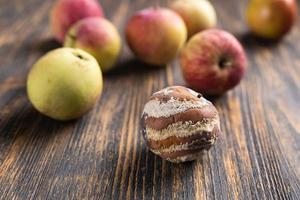 Apple with mold and fresh apple on background - mold growth and food spoilage concept photo