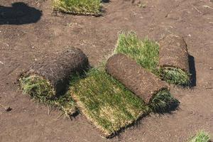 Laying sod for new garden lawn - turf laying concept photo