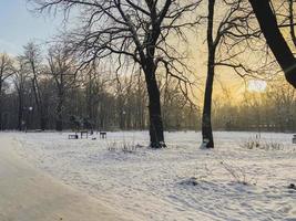 Winter sunset in snow covered park. Season and cold weather concept photo