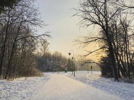 puesta de sol de invierno en el parque cubierto de nieve. concepto de temporada y clima frío foto