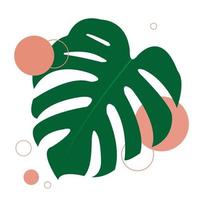 The design is trendy and exotic for the leaf monstera green of nature in the summer botanical jungle for the banner background, decoration, frame, and for illustration. vector