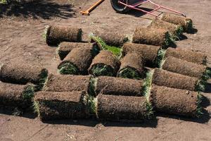 Rolls of lawn grass on sunny day - country house and landscape design photo