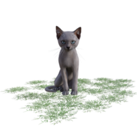 gatto con verde erba png