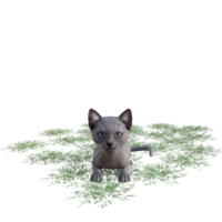kat met groen gras png