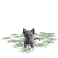 chat avec de l'herbe verte png