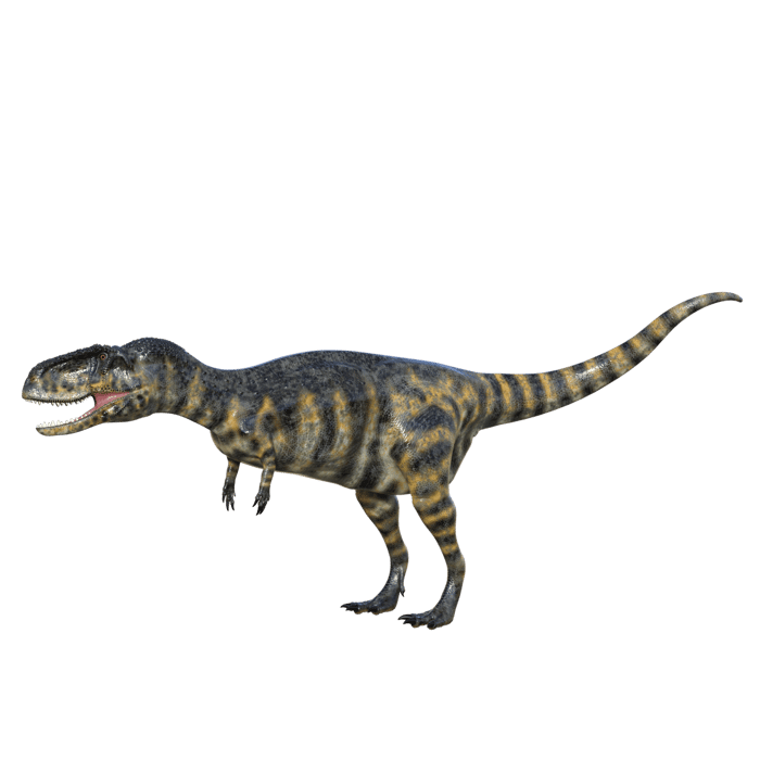 Dinosaur Skeleton PNGs for Free Download