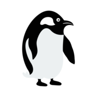 pinguino cartone animato isolato su trasparenza sfondo png