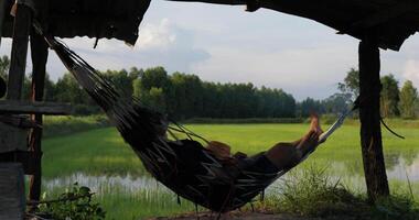 Young farmer lying in hammock under roof of hut for resting and look out at the rice fields video