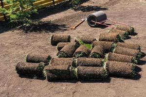 Rolls of lawn grass on sunny day - country house and landscape design photo