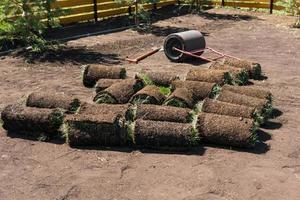 Rolls of lawn grass on sunny day - country house and landscape design photo