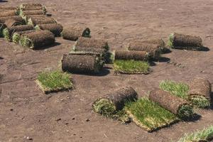 Rolls of lawn grass on sunny day - country house and landscape design photo