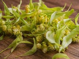 ramo de flores y hojas de tilo sobre una mesa de madera para té de hierbas de tilo - terapia de hierbas y tratamiento médico natural foto