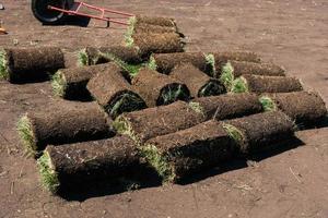 Rolls of lawn grass on sunny day - country house and landscape design photo