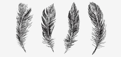 Feathers set on white background. Hand drawn sketch style. vector