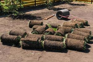 Rolls of lawn grass on sunny day - country house and landscape design photo