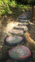 Log shape stepping stone pathway laying on the ground at garden or park. photo