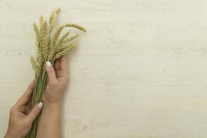 Bunch wheat ear and flour on white wood table. photo