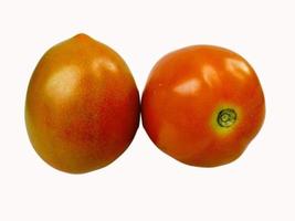 tomates aislados sobre fondo blanco. foto