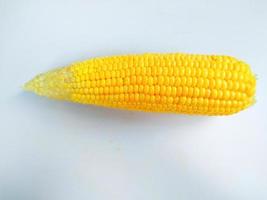 maíz aislado en un fondo blanco