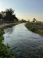 Irrigation water flow from pipe to canal for agriculture fields photo