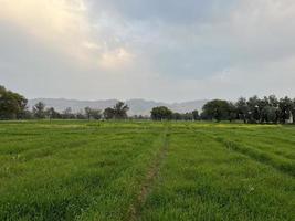 Mountains and trees in a Village, landscape view of a Village photo