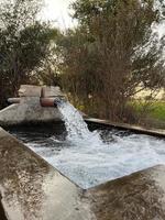 flujo de agua de riego desde la tubería hasta el canal para campos agrícolas foto