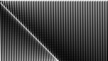 fondo blanco y negro abstracto vector