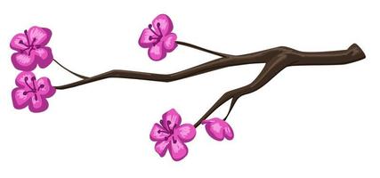 Spring cherry tree blossom, branch with flowers vector