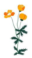 Spring wildflower with blossom, blooming flora vector