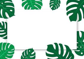 The design is trendy and exotic for the leaf monstera green of nature in the summer botanical jungle for the banner background, decoration, frame, and for illustration. vector