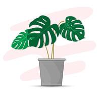 The design is trendy and exotic for the leaf monstera green of nature in the summer botanical jungle for the banner background, decoration, frame, and for illustration. vector