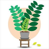 The design is trendy and exotic for the leaf monstera green of nature in the summer botanical jungle for the banner background, decoration, frame, and for illustration. vector