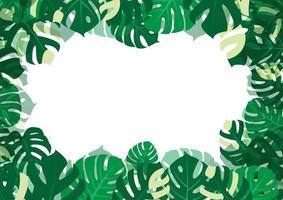 The design is trendy and exotic for the leaf monstera green of nature in the summer botanical jungle for the banner background, decoration, frame, and for illustration. vector