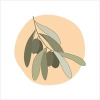 Olive tree branch in cartoon style. Vector illustration.