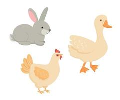 Cute cartoon duck, chicken and rabbit. Vector illustration isolated on white background. Farm animal set