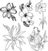 Set Flower Sketch Vector