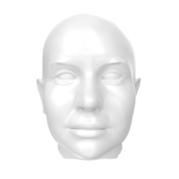 Rendu 3D du buste humain png