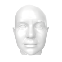 representación 3d del busto humano png