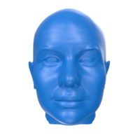3D Rendering Of Human Bust png