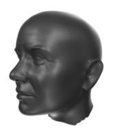 representación 3d del busto humano png