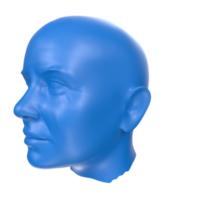 renderização 3D de busto humano png