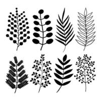 conjunto de ramas dibujadas a mano. elementos decorativos aislados en blanco. ilustración vectorial vector