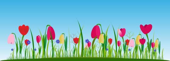 Flower meadow with spring flowers on a blue sky background. vector